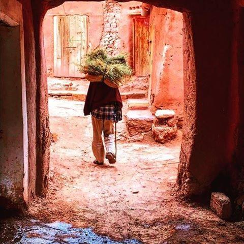 ホテル Kasbah Tiriguioute スコーラ エクステリア 写真