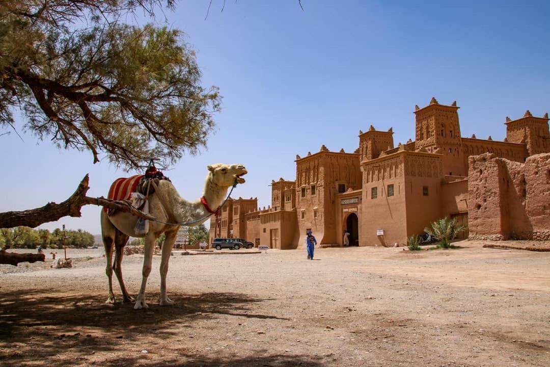 ホテル Kasbah Tiriguioute スコーラ エクステリア 写真
