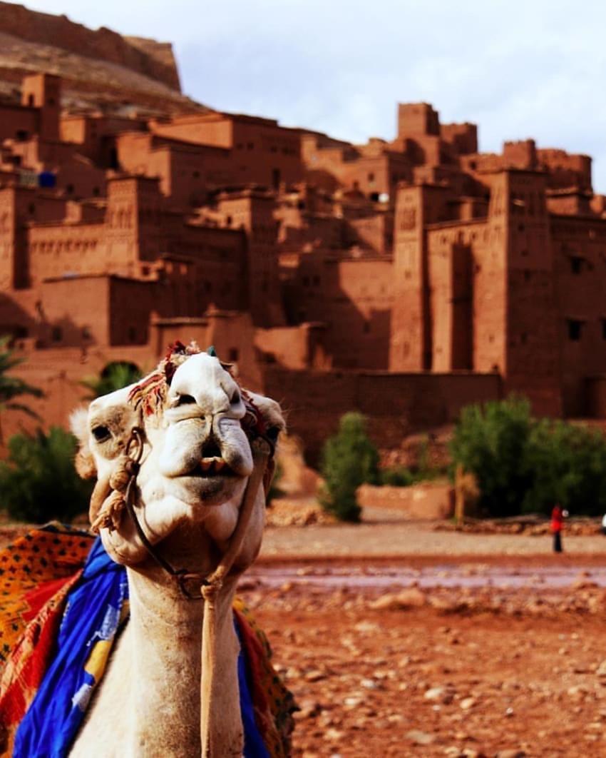 ホテル Kasbah Tiriguioute スコーラ エクステリア 写真